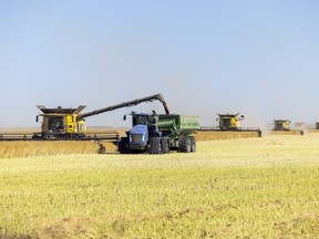 La aduana amenaza las cadenas del suministro integrado de alimentos de Canadá/EE. UU.