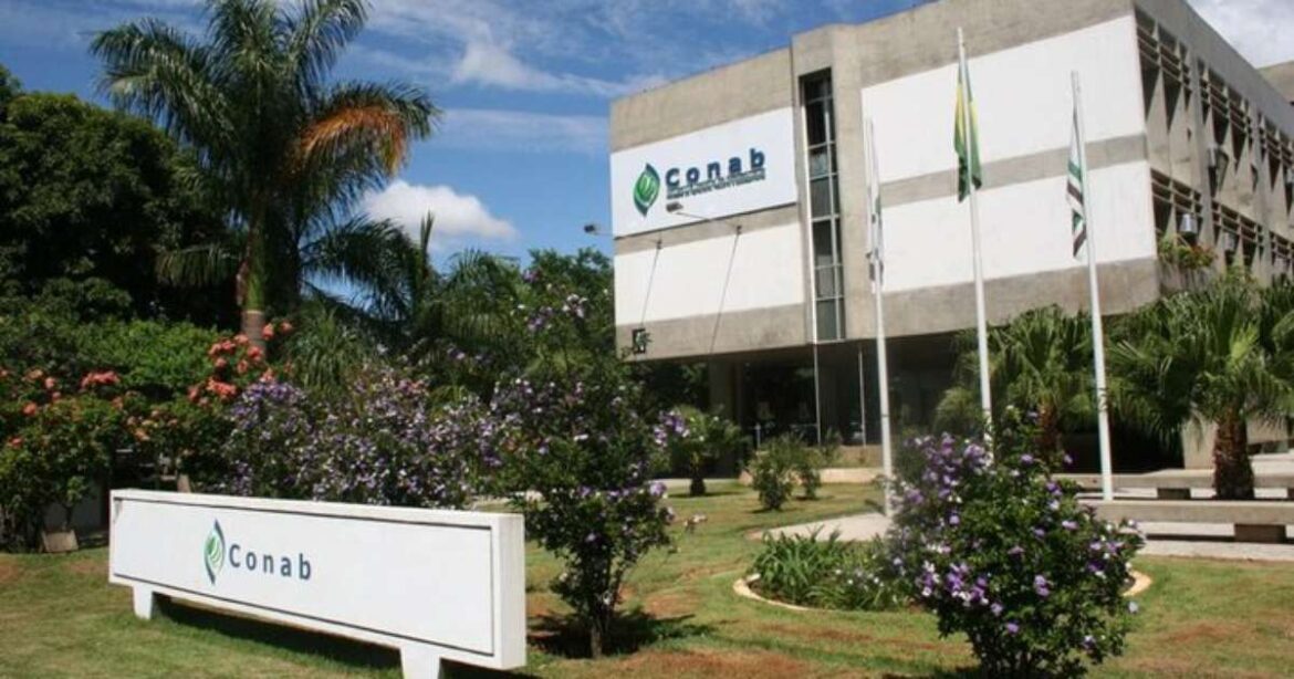 Kenab liquidará 9 propiedades operadas con BNDES y volverá a invertir $ 170 millones en almacenamiento